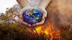 Guía para principiantes: adaptación al cambio climático