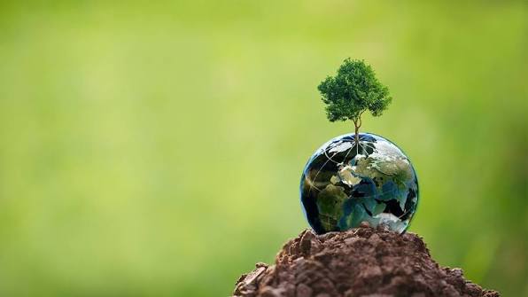 La historia de CARE Project