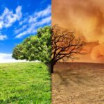 Adaptación al cambio climático: pros y contras