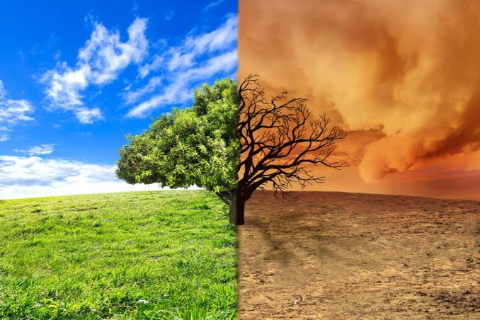 Adaptación al cambio climático: pros y contras